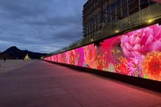 광화문 해치마당, 빛 담은 꽃길  미디어아트